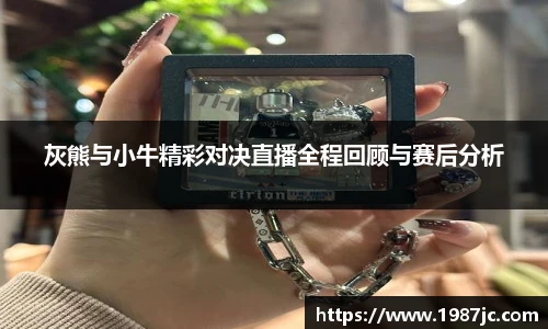灰熊与小牛精彩对决直播全程回顾与赛后分析
